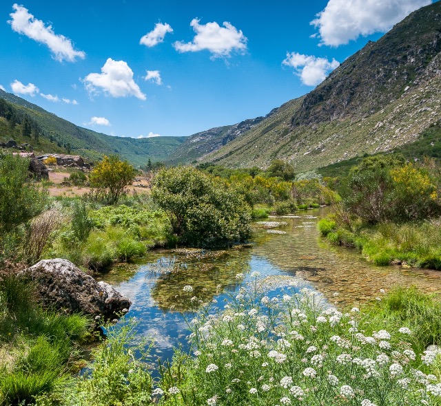Sustainable Tourism
